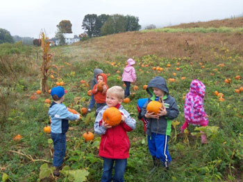 my little angels daycare pumpkin picking